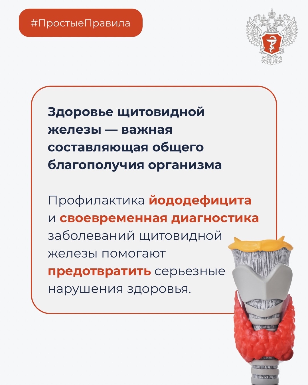 #ПростыеПравила: Как обеспечить здоровье щитовидной железы?