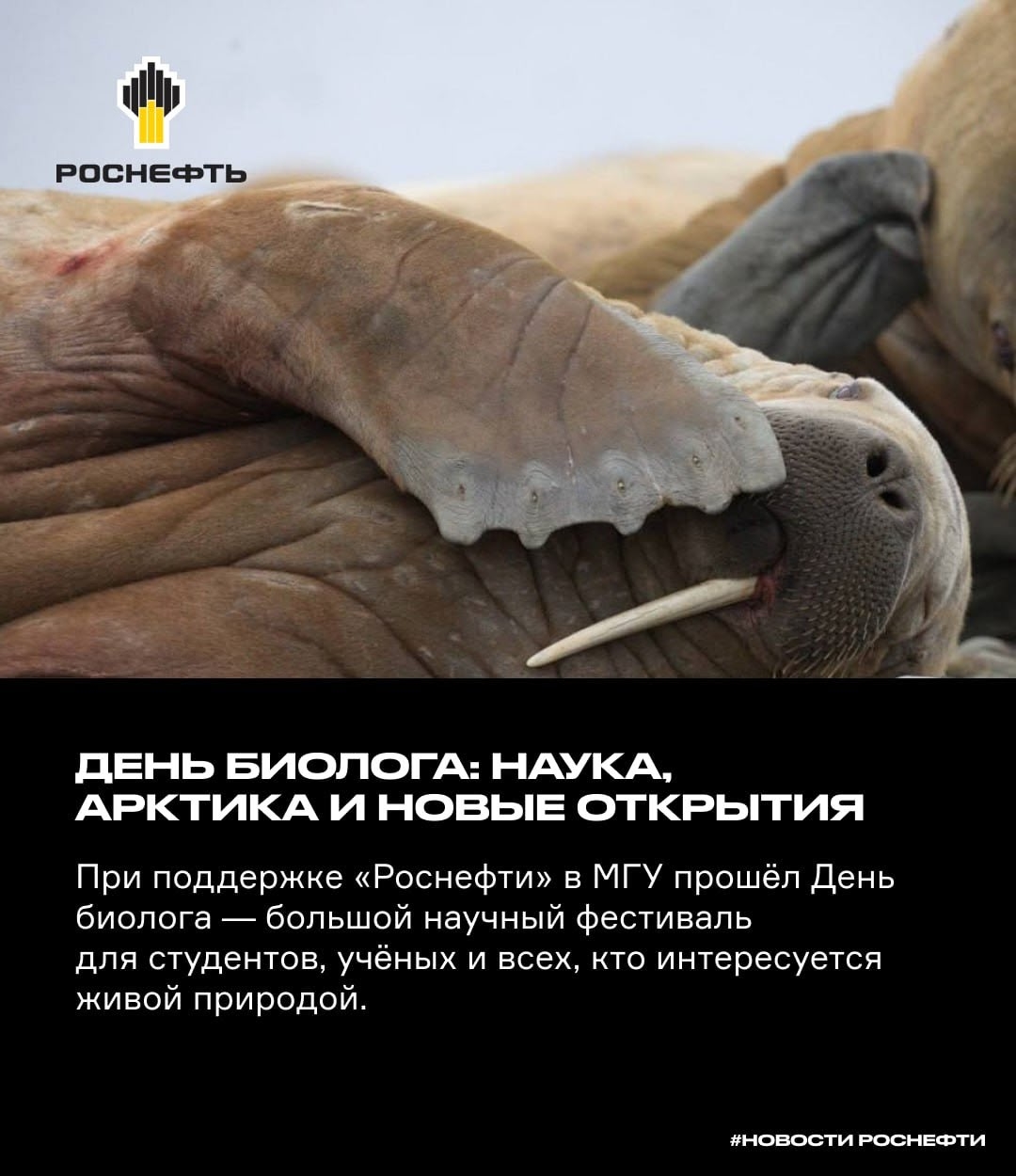 День биолога: наука, Арктика и новые открытия