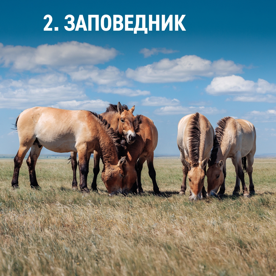 Лето на пороге! Провести его активно в регионах, где работает «Газпром нефть», помогает наша программа социальных инвестиций «Родные города»