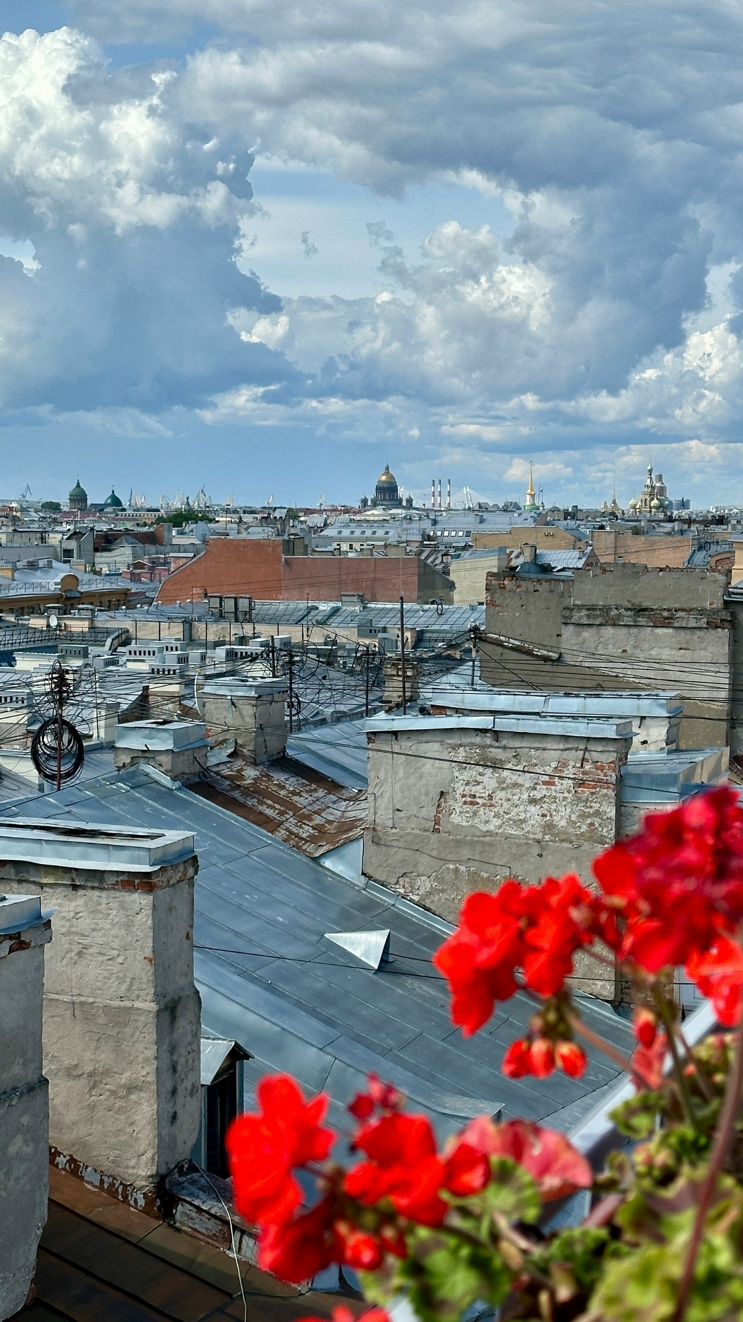 Санкт-Петербургу — 323! Петербург — город по любви, где каждый находит своё: вдохновение в белых ночах, смыслы в архитектуре, спокойствие в мелодии дождя по…