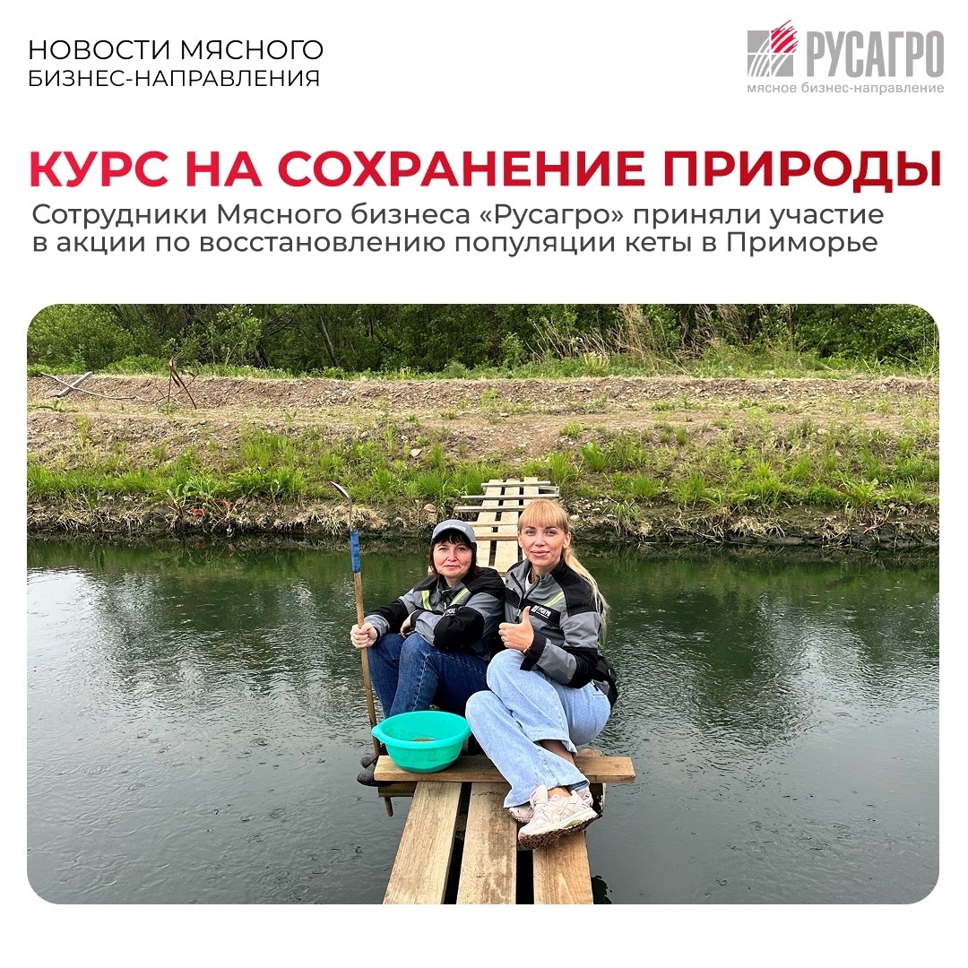 В Приморском крае продолжается масштабная экологическая программа по восстановлению популяции кеты