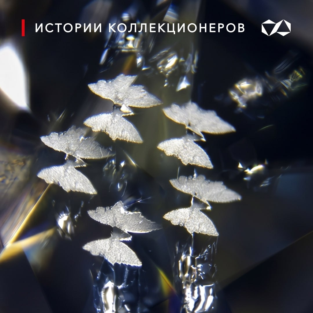 «Калейдоскоп бабочек» и бриллианты