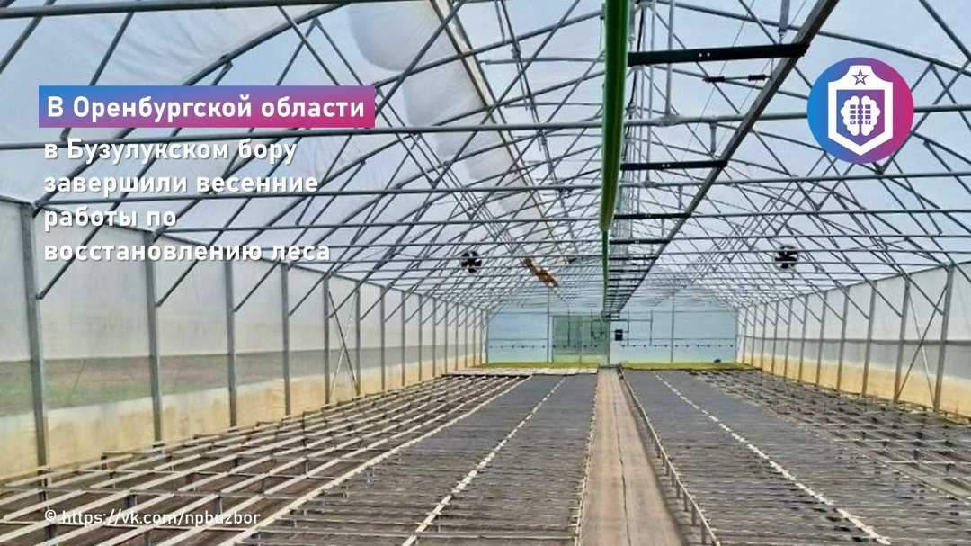 #Когнитивная_Витаминка Выпуск № 338 29.05.2026