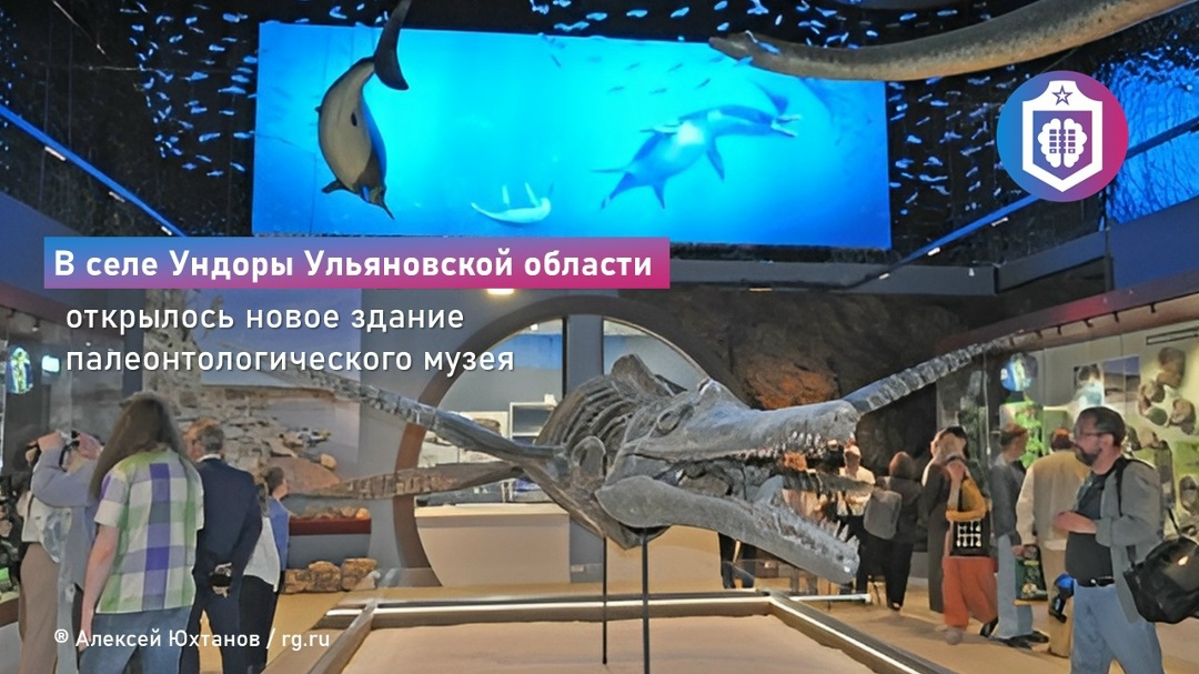 #Когнитивная_Витаминка Выпуск № 338 29.05.2026