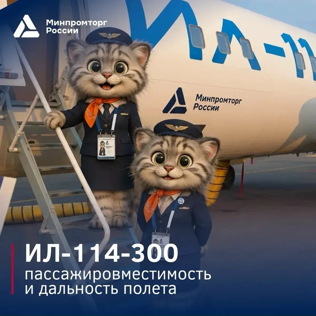Куда бы могли отправиться пушистые пассажиры на Ил-114-300?