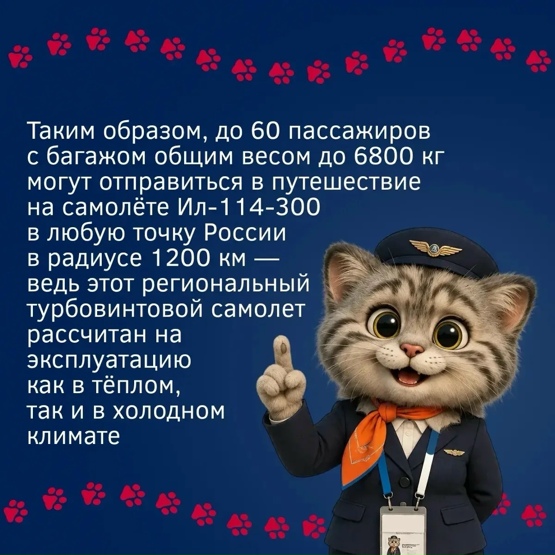 Куда бы могли отправиться пушистые пассажиры на Ил-114-300?
