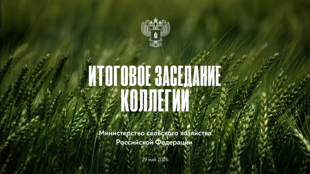 ️ В 11:00 начнем прямую трансляцию итогового заседания Коллегии Минсельхоза России
