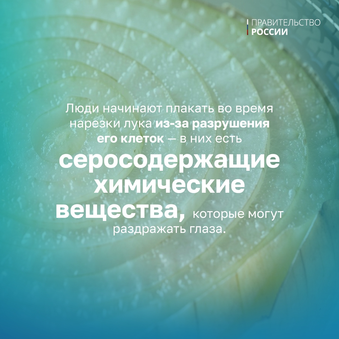 31 мая — День химика. Значение химии для общества сложно переоценить — знание формул, соединений и растворов важно для промышленности, фармакологии, медицины,…