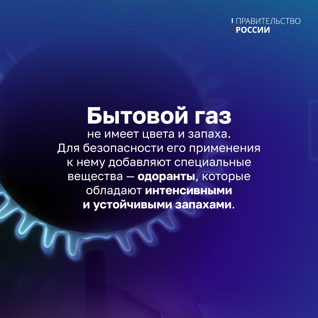 31 мая — День химика. Значение химии для общества сложно переоценить — знание формул, соединений и растворов важно для промышленности, фармакологии, медицины,…