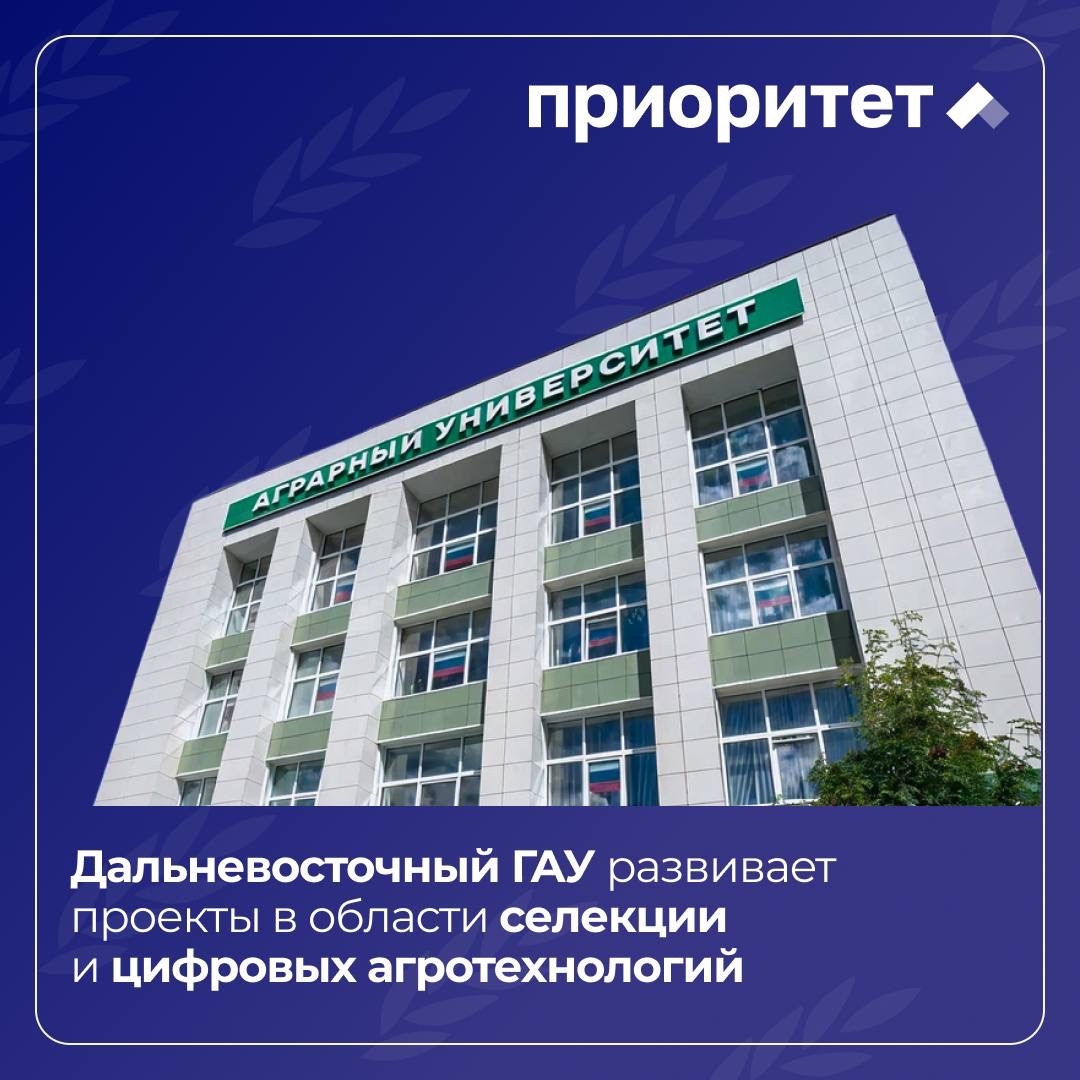 Дальневосточный ГАУ развивает селекцию и цифровые агротехнологии в рамках «Приоритет-2030»