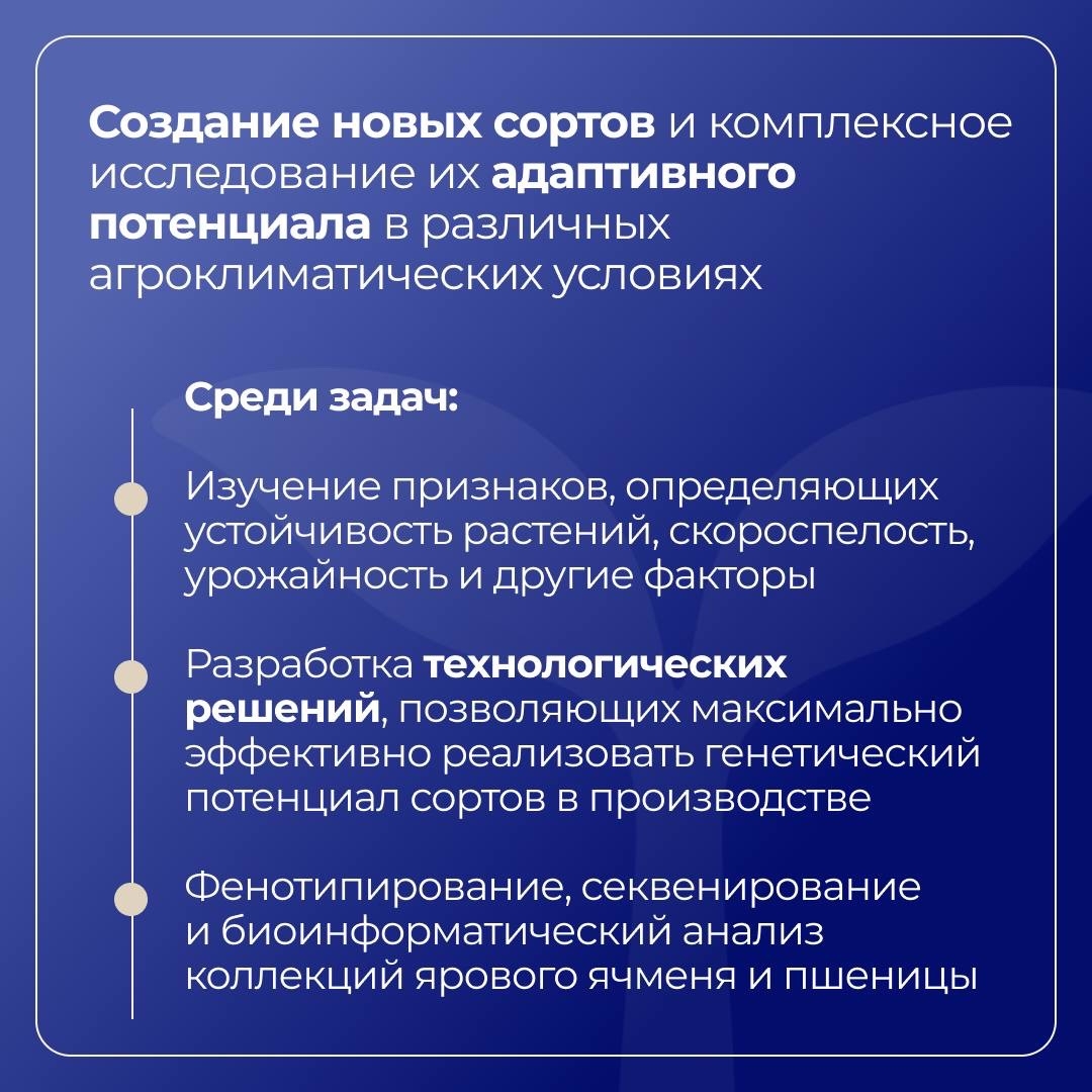 Дальневосточный ГАУ развивает селекцию и цифровые агротехнологии в рамках «Приоритет-2030»