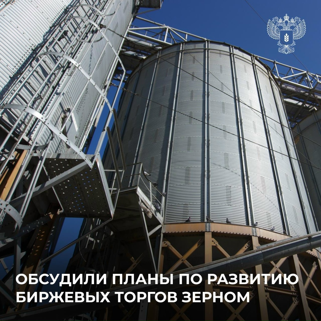 ️ Глава Минсельхоза Оксана Лут провела совещание по развитию биржевых торгов зерном