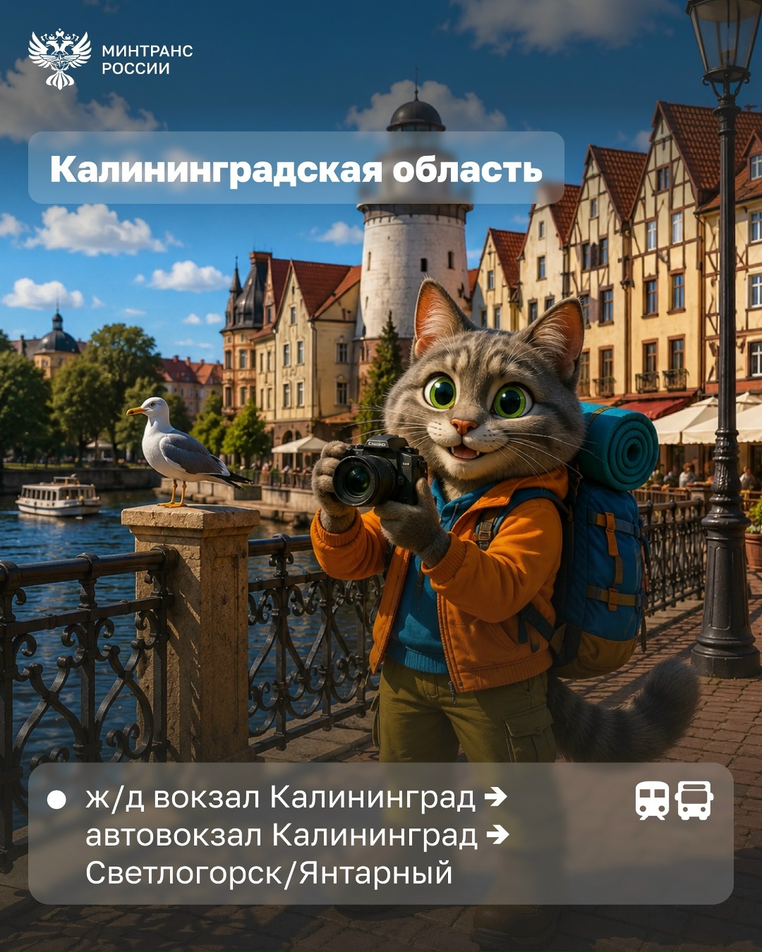 Куда можно поехать этим летом по «единому» билету