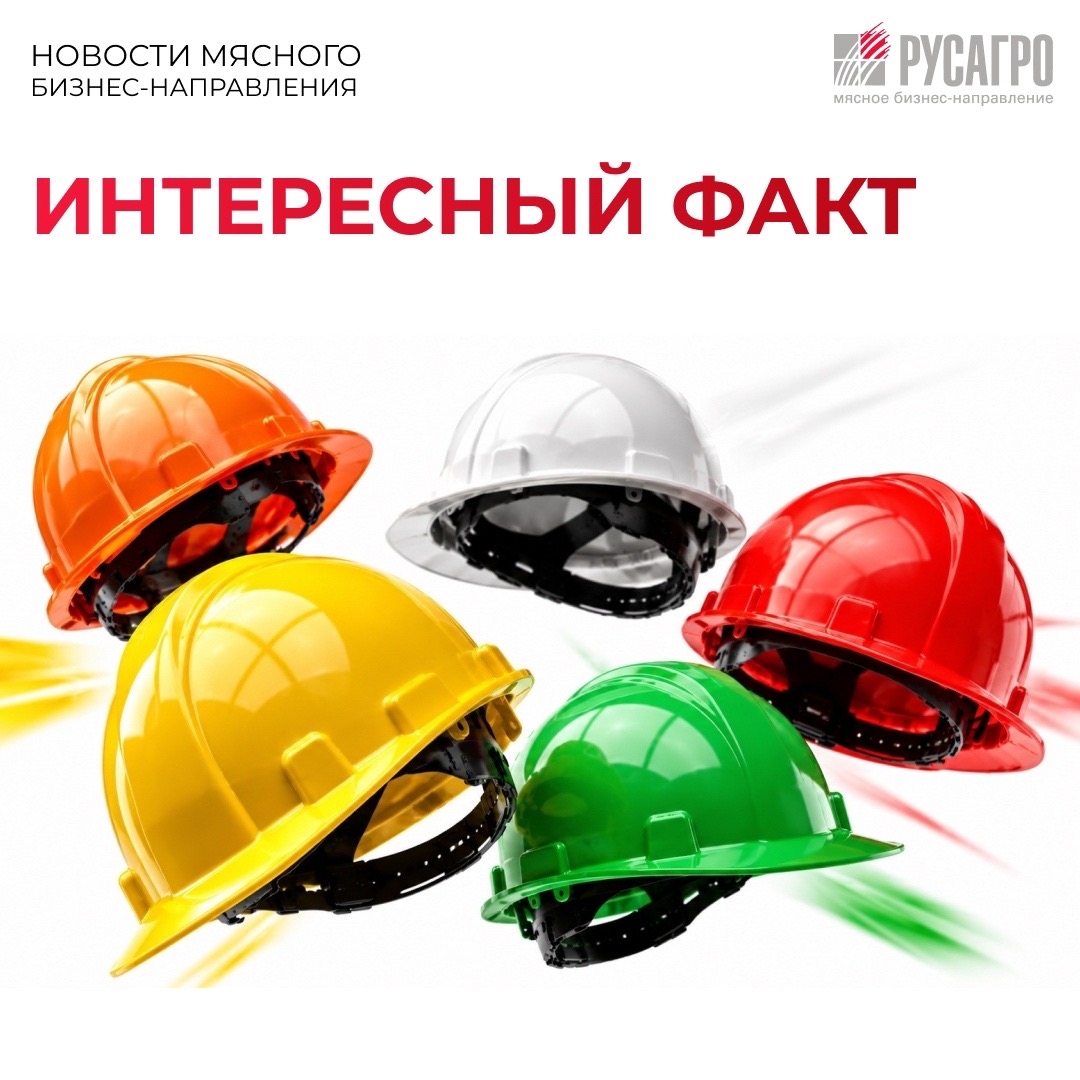 Каска – это не только необходимое средство защиты на производстве, по ее цвету можно узнать: кто перед вами - стажер или начальник цеха