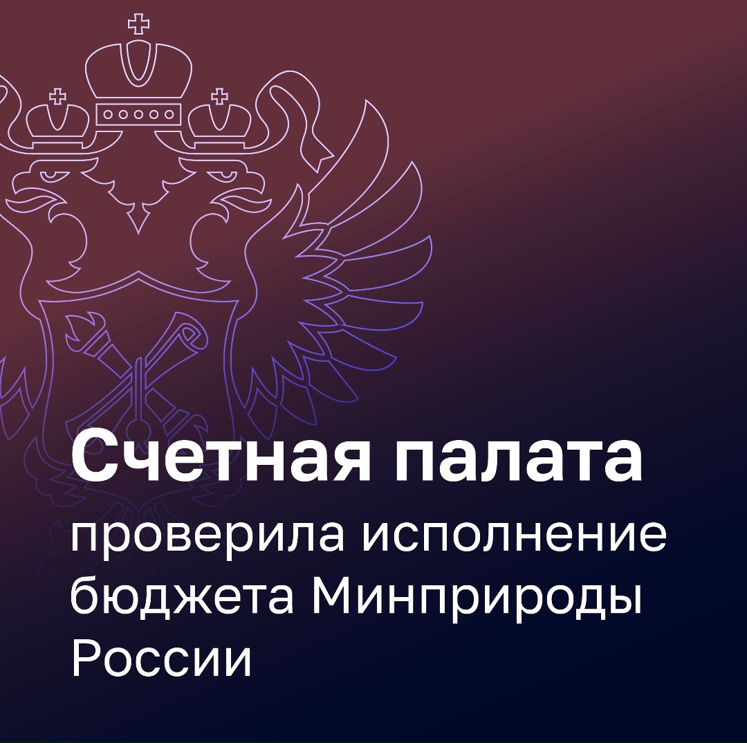 Счетная палата проверила, как в 2025 году исполняло бюджет Минприроды России.
