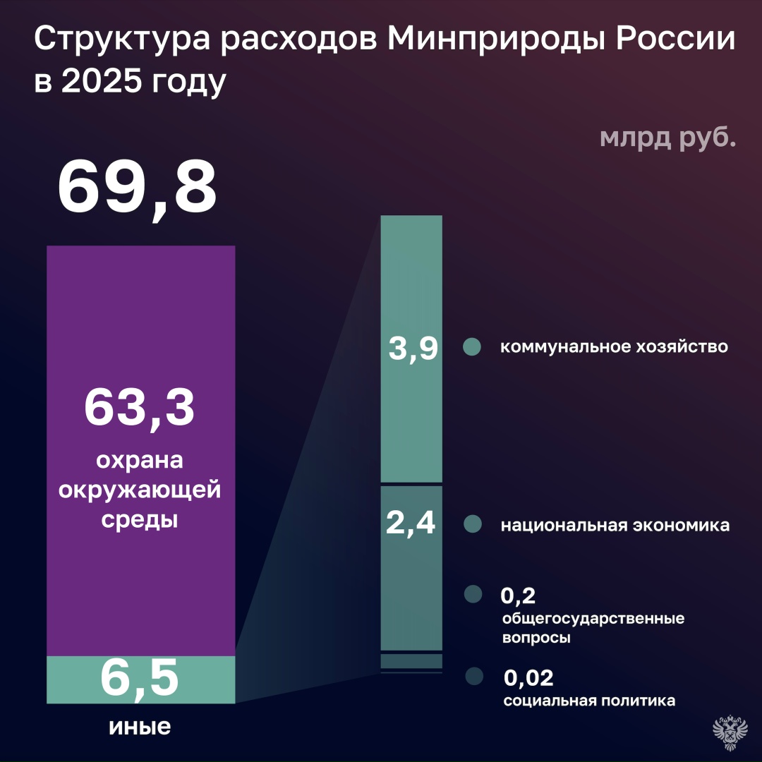 Счетная палата проверила, как в 2025 году исполняло бюджет Минприроды России.