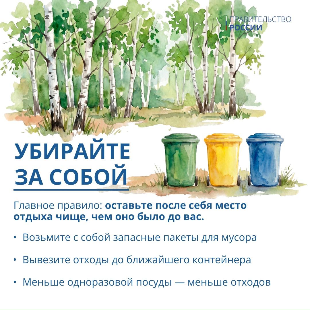 5 июня отмечается Всемирный день окружающей среды – профессиональный праздник тех, кто ежедневно защищает нашу экосистему.