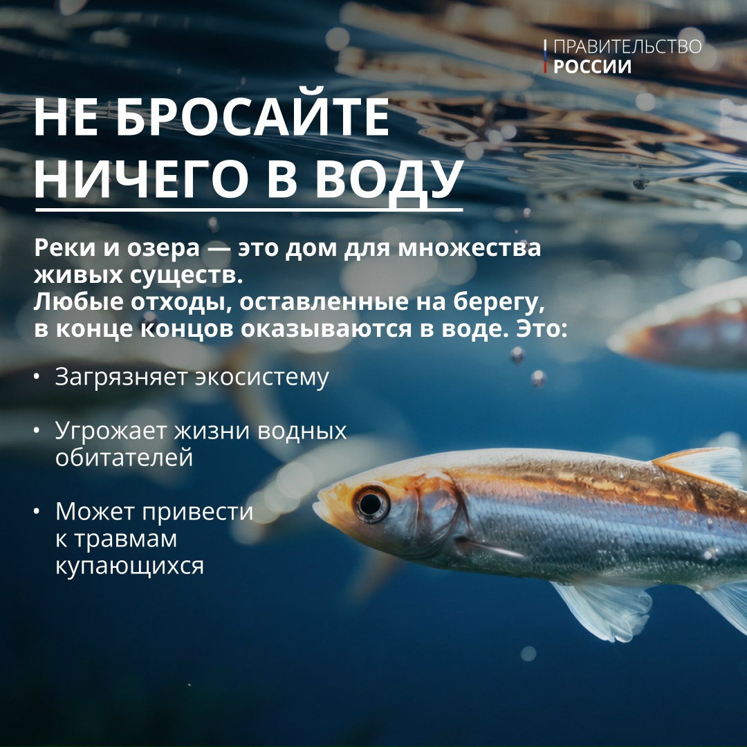 5 июня отмечается Всемирный день окружающей среды – профессиональный праздник тех, кто ежедневно защищает нашу экосистему.