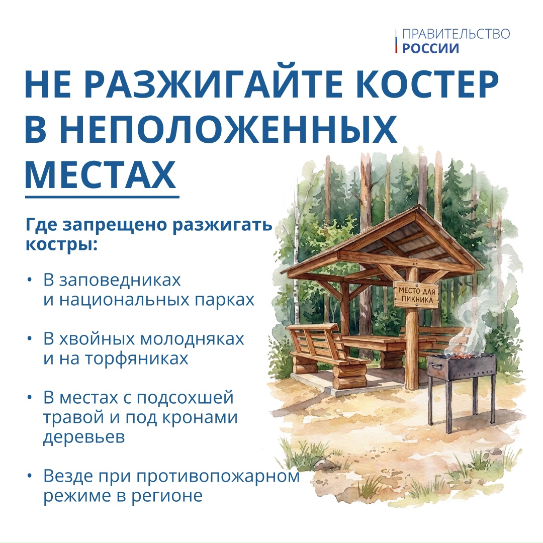 5 июня отмечается Всемирный день окружающей среды – профессиональный праздник тех, кто ежедневно защищает нашу экосистему.