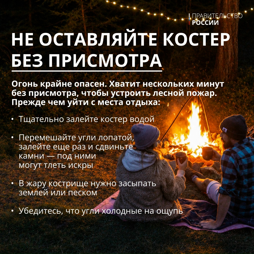 5 июня отмечается Всемирный день окружающей среды – профессиональный праздник тех, кто ежедневно защищает нашу экосистему.