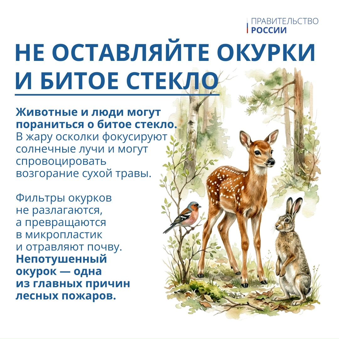 5 июня отмечается Всемирный день окружающей среды – профессиональный праздник тех, кто ежедневно защищает нашу экосистему.