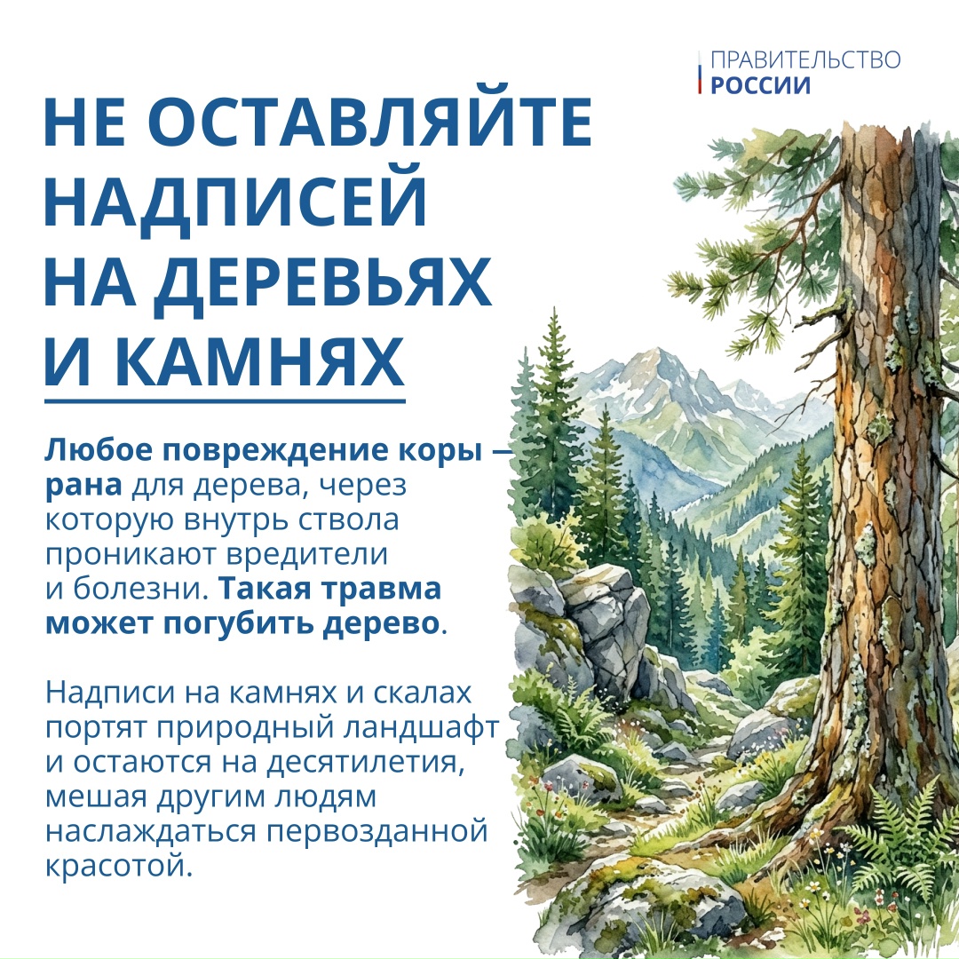 5 июня отмечается Всемирный день окружающей среды – профессиональный праздник тех, кто ежедневно защищает нашу экосистему.