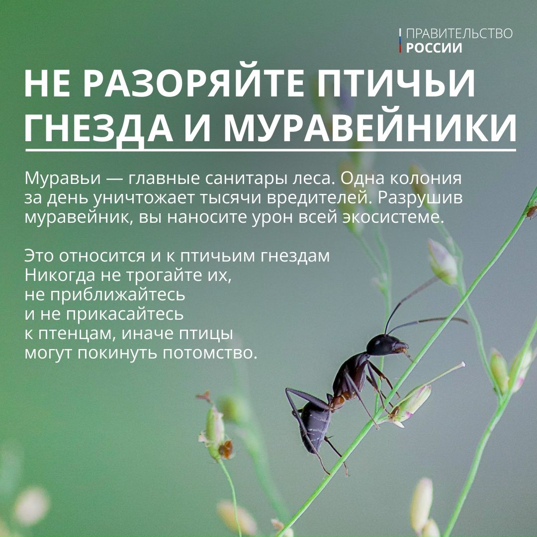 5 июня отмечается Всемирный день окружающей среды – профессиональный праздник тех, кто ежедневно защищает нашу экосистему.
