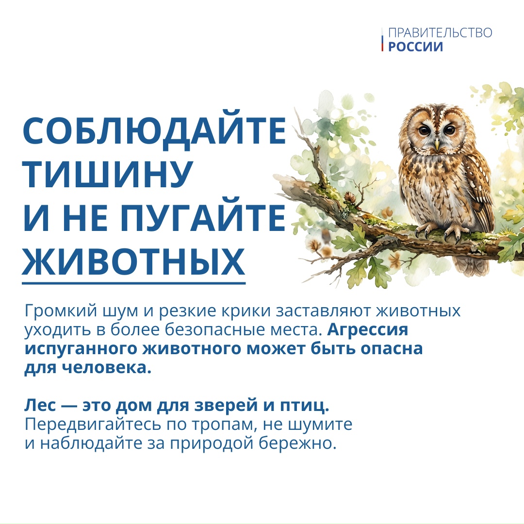 5 июня отмечается Всемирный день окружающей среды – профессиональный праздник тех, кто ежедневно защищает нашу экосистему.