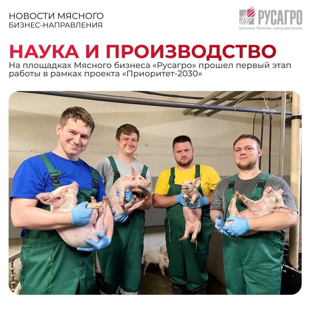 Мясной бизнес «Русагро» продолжает сотрудничество с Башкирским и Белгородским государственными аграрными университетами в рамках федеральной программы…