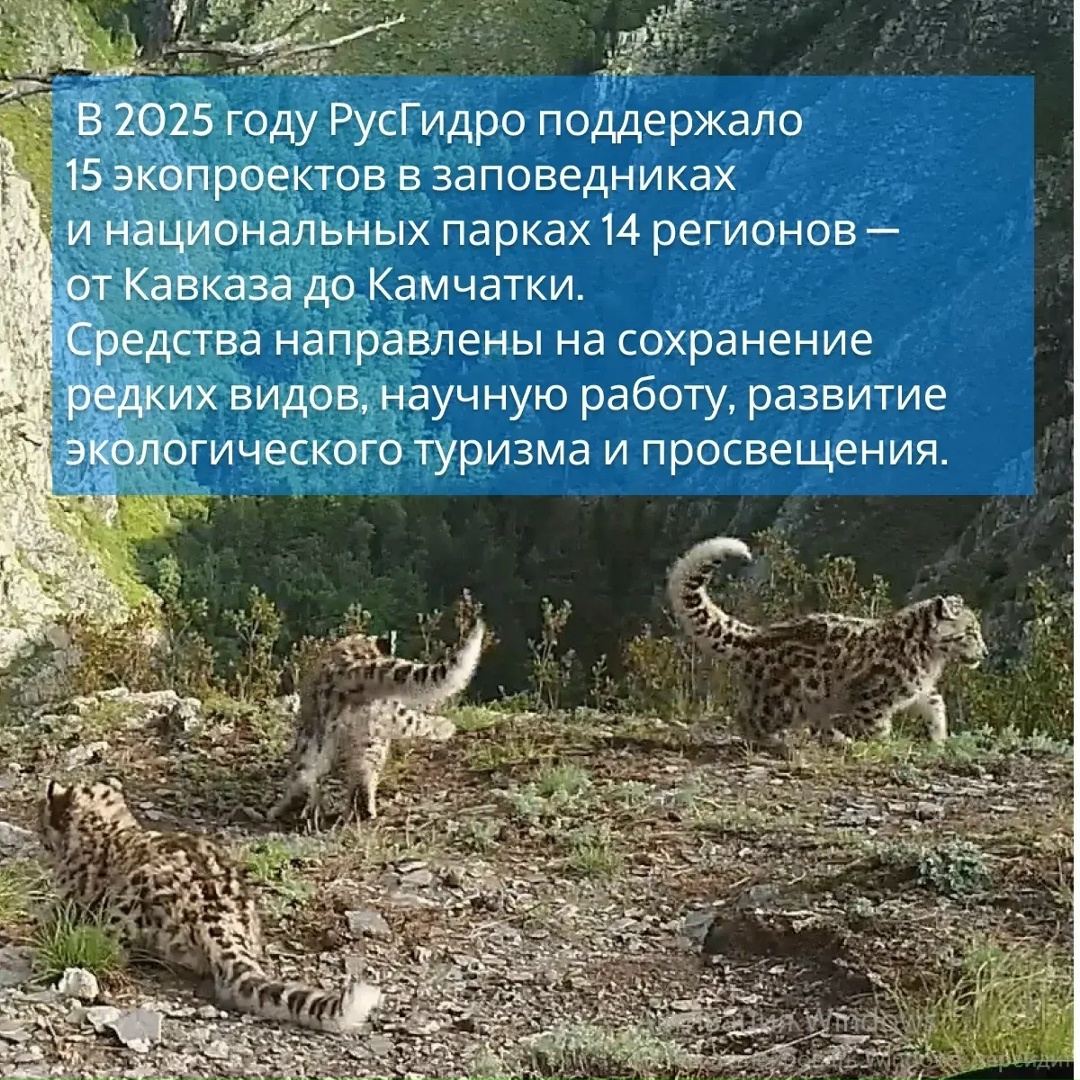 Сегодня — День эколога и Всемирный день окружающей среды. Дата учреждена Генеральной Ассамблеей ООН в 1972 году.