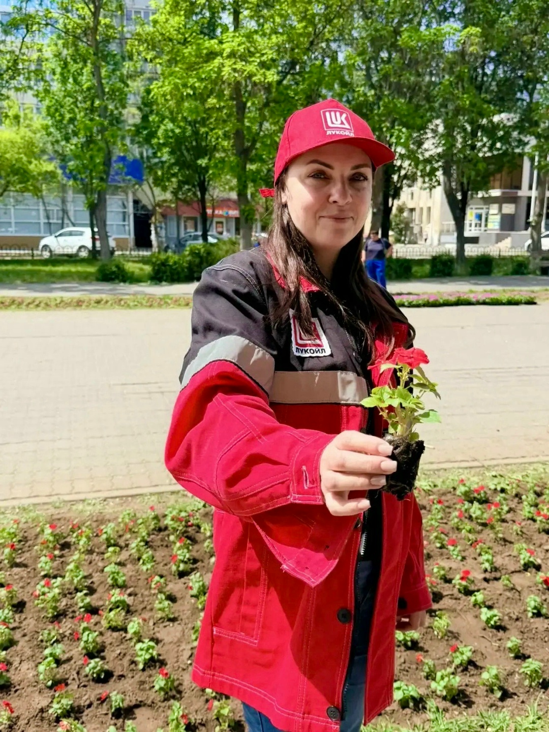 Красно-белый партер 13,5 тысяч петуний выстроились в геометрическом порядке перед учреждениями культуры в Нижегородской и Волгоградской областях.