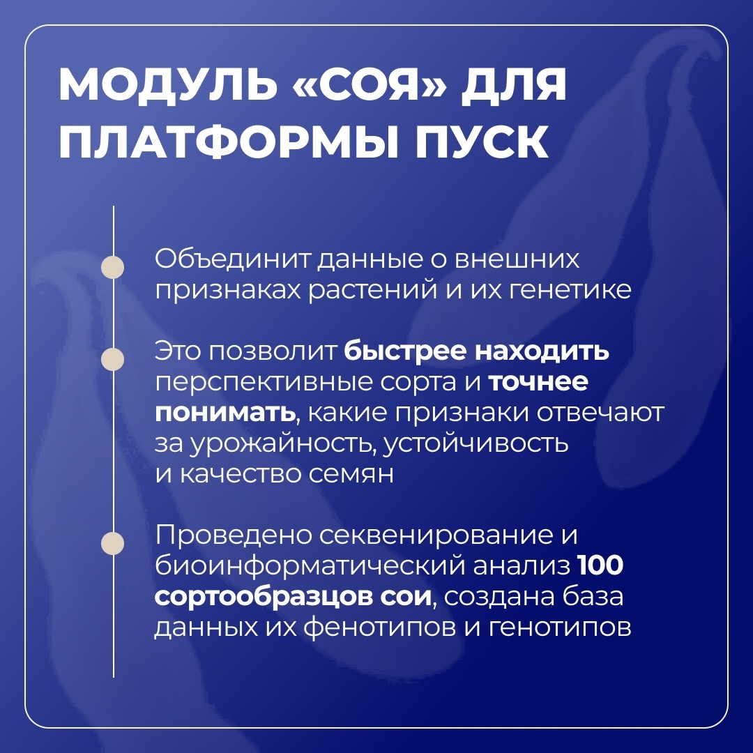 Белгородский ГАУ развивает селекцию и семеноводство сои в рамках «Приоритет-2030»