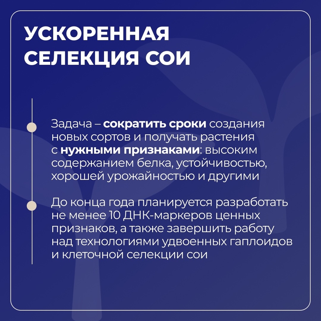 Белгородский ГАУ развивает селекцию и семеноводство сои в рамках «Приоритет-2030»
