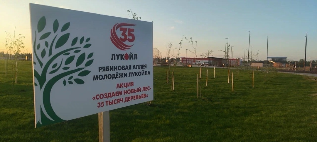 Завирусили Участники молодёжного форума ЛУКОЙЛа из регионов поддержали инициативу «Создаём новый лес — тысяч деревьев».