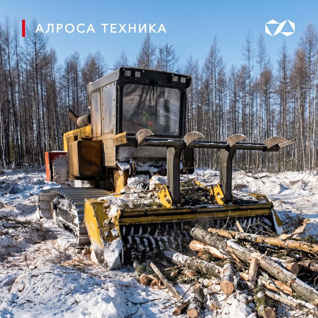 Мощь и точность в тайге: мульчер PLAISANCE GALOTRAX 600B