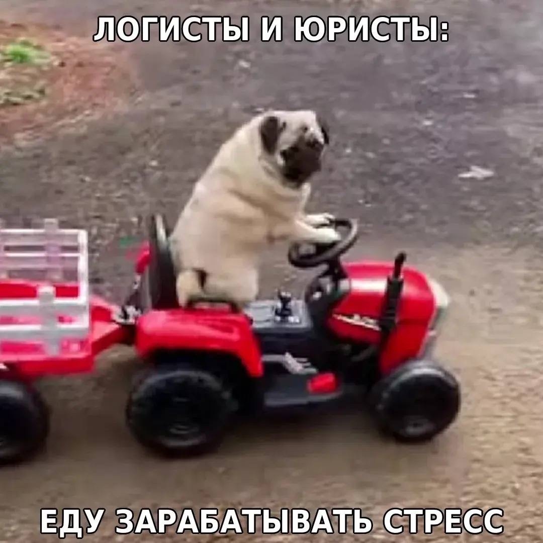 «Из Варяг в Арабы». Часть 4. Вопросы логистики и права