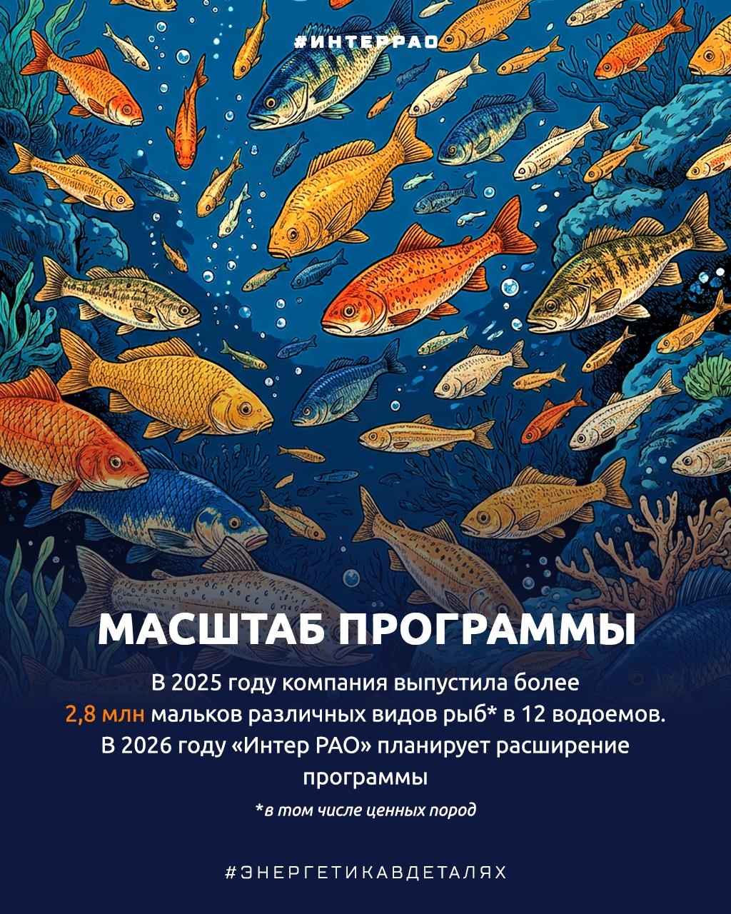 Как Группа «Интер РАО» помогает сохранять водные биоресурсы?