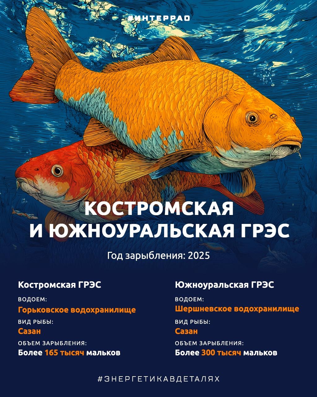 Как Группа «Интер РАО» помогает сохранять водные биоресурсы?