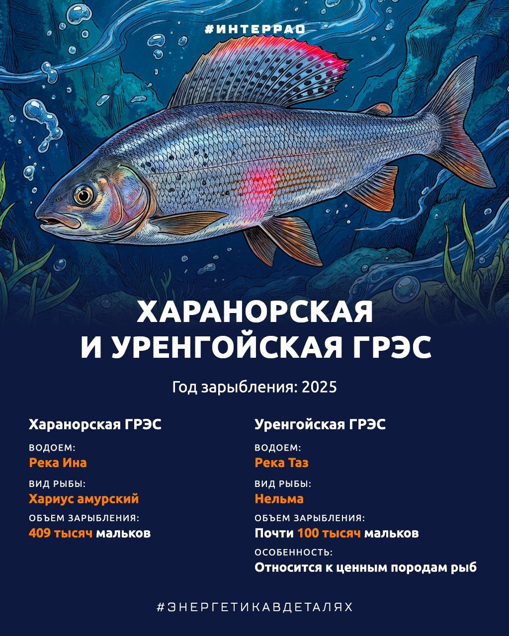 Как Группа «Интер РАО» помогает сохранять водные биоресурсы?
