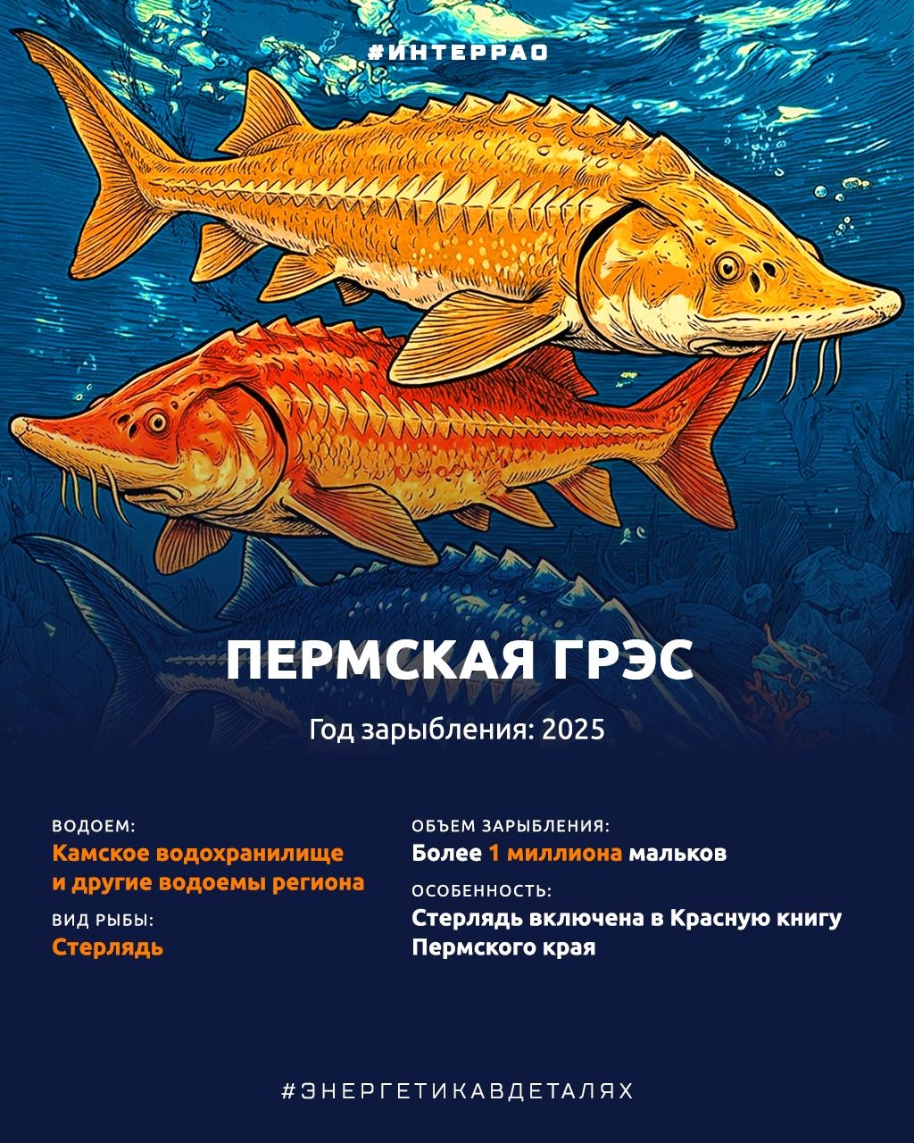 Как Группа «Интер РАО» помогает сохранять водные биоресурсы?
