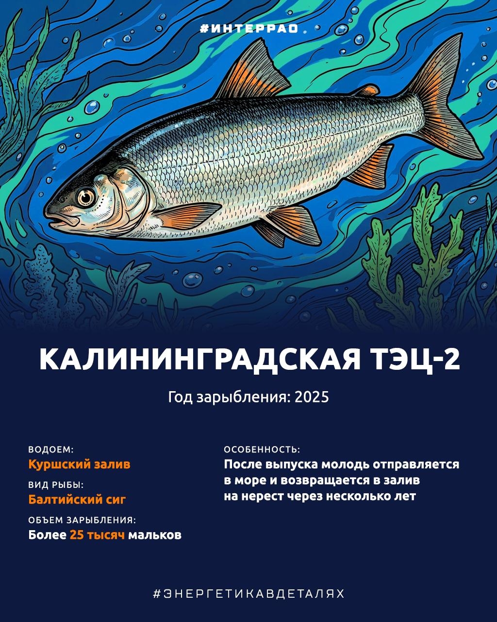 Как Группа «Интер РАО» помогает сохранять водные биоресурсы?