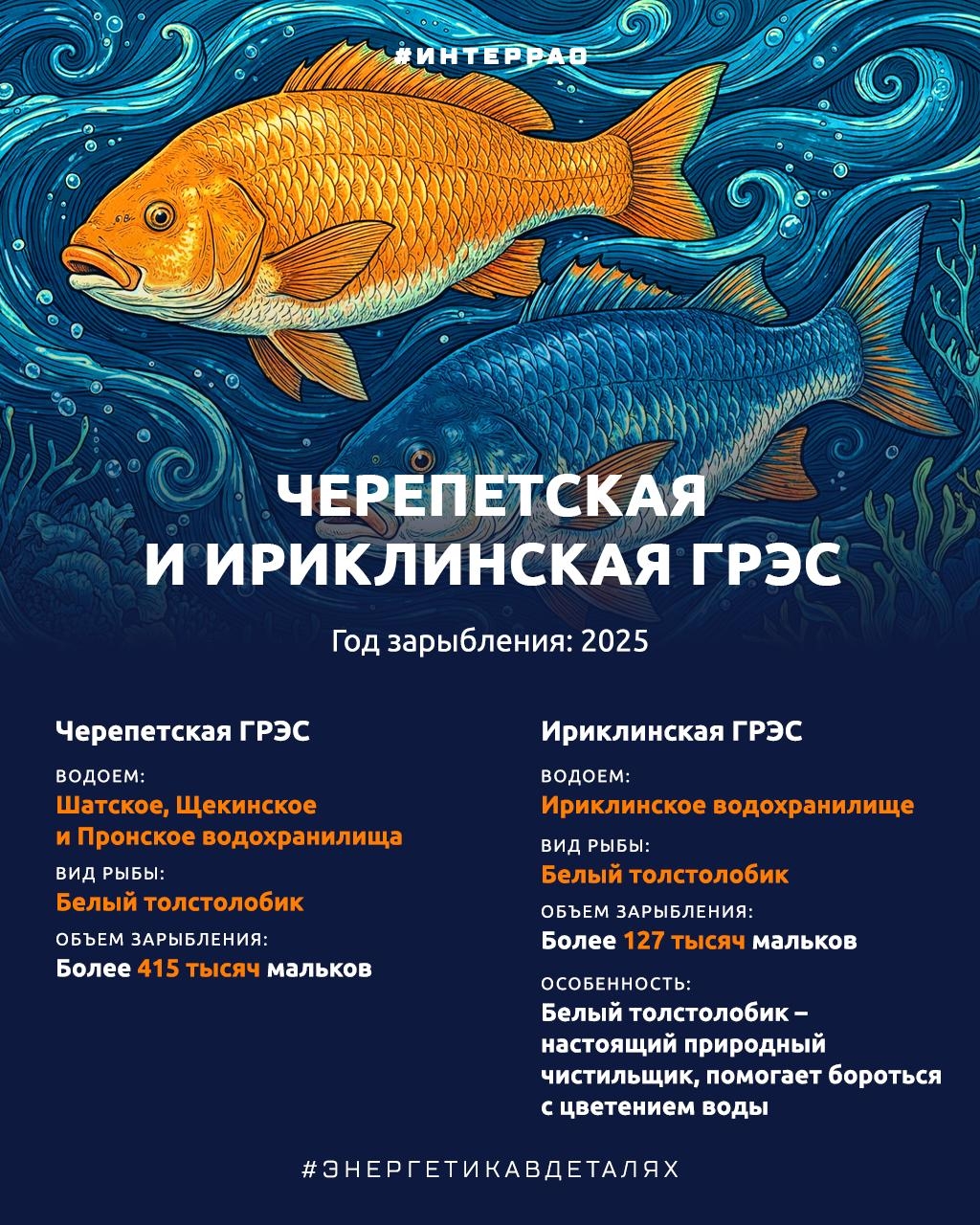 Как Группа «Интер РАО» помогает сохранять водные биоресурсы?