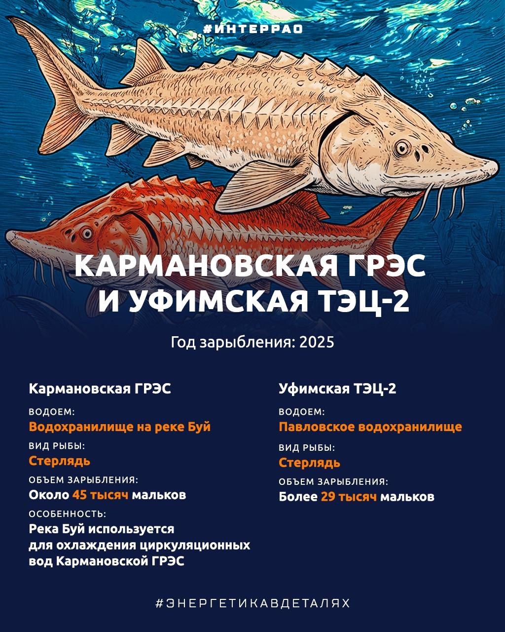 Как Группа «Интер РАО» помогает сохранять водные биоресурсы?