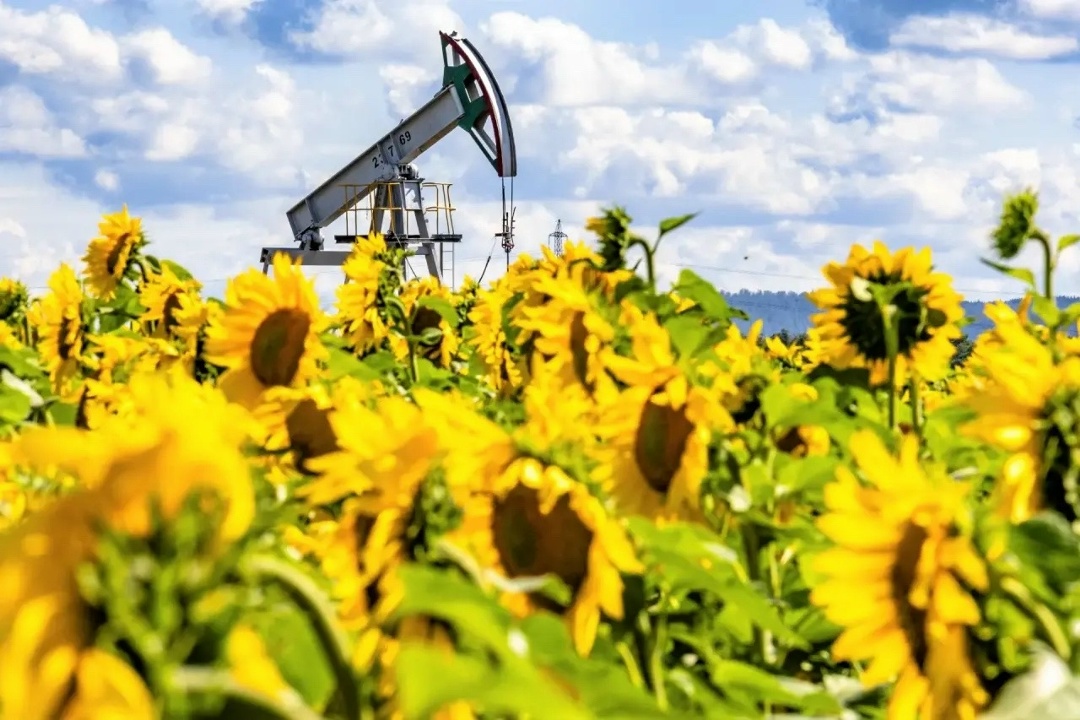 День эколога в Татнефти: забота об экологии — наш образ жизни