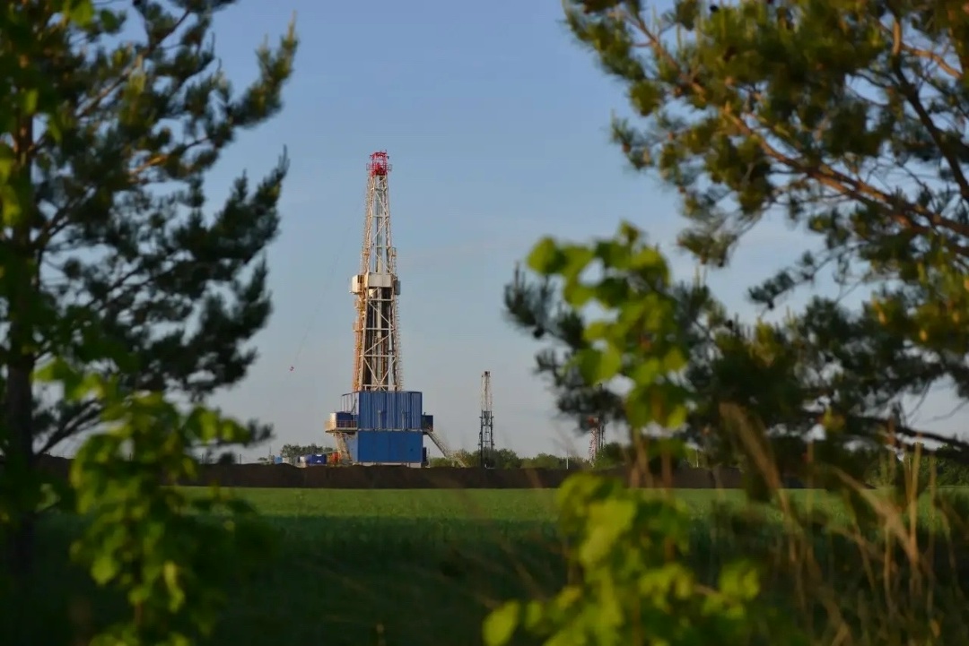 День эколога в Татнефти: забота об экологии — наш образ жизни