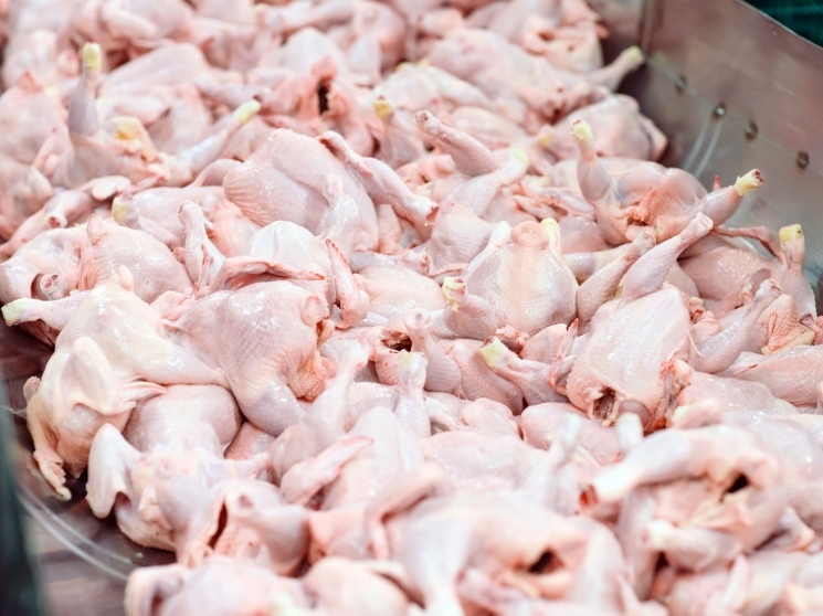 Россия с начала года получила допуск на экспорт 21 вида животноводческой продукции в восемь стран, рассказал в интервью ТАСС руководитель Россельхознадзора…