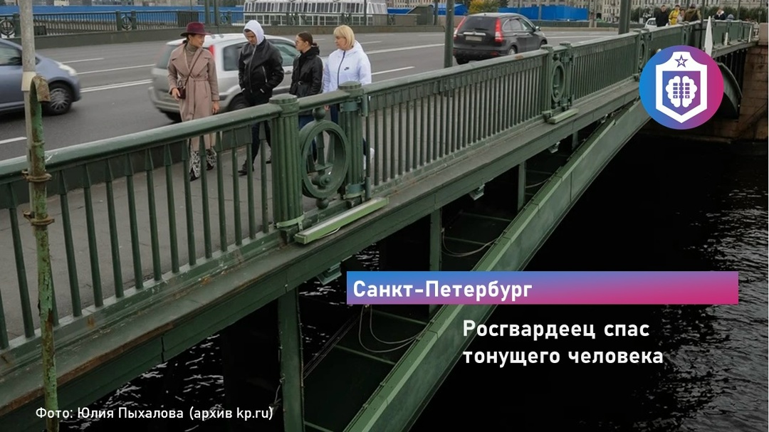 #Когнитивная_Витаминка Выпуск № 342
12.06.2026