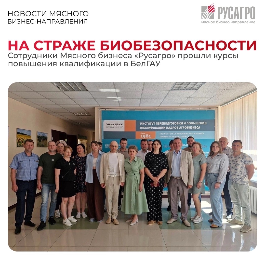 В Мясном бизнес-направлении продолжают системную работу по укреплению биобезопасности производственных объектов компании. 80 сотрудников ветеринарной службы…