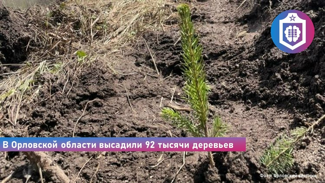 #Когнитивная_Витаминка Выпуск № 343 17.06.2026