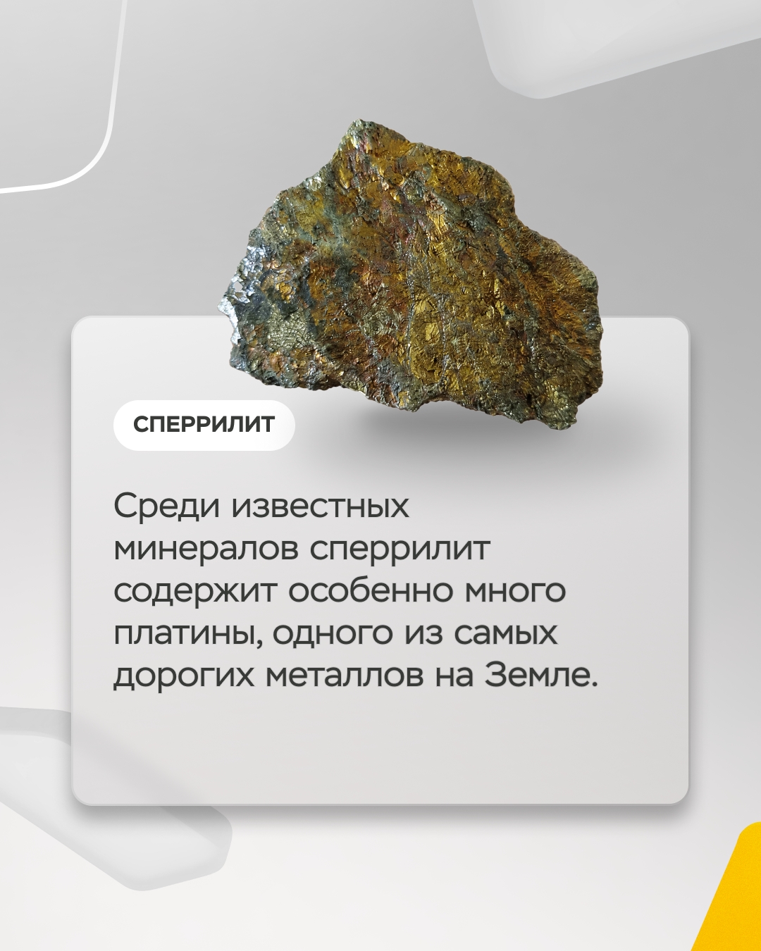 Красноярский край и соседние регионы — настоящая кладовая полезных ископаемых. И хотя главное сокровище здесь — это золото, Сибирь богата и другими минералами